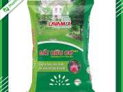 Bao Bì Đất Trồng