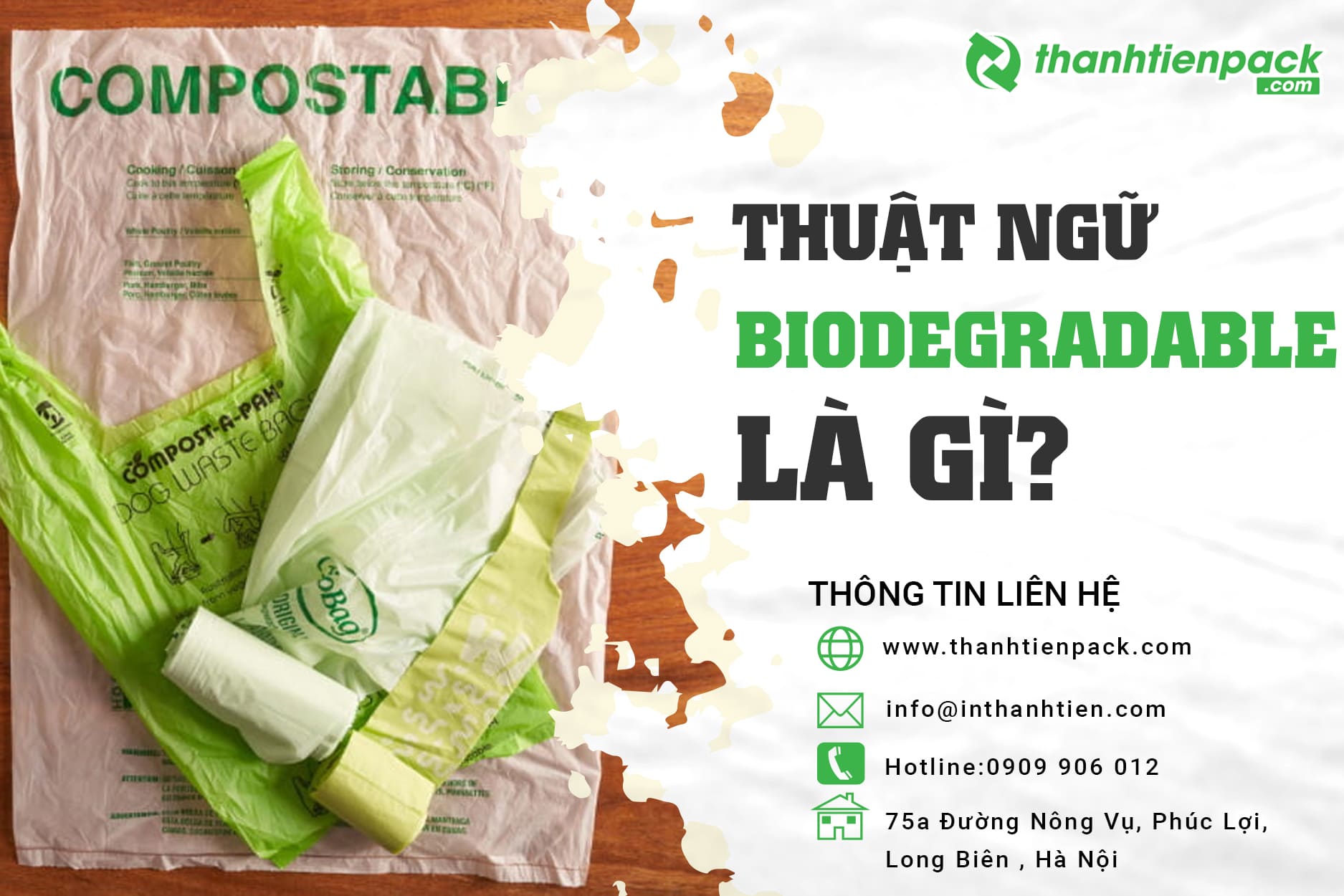 Biodegradable là gì? Định nghĩa và cơ chế phân hủy sinh học
