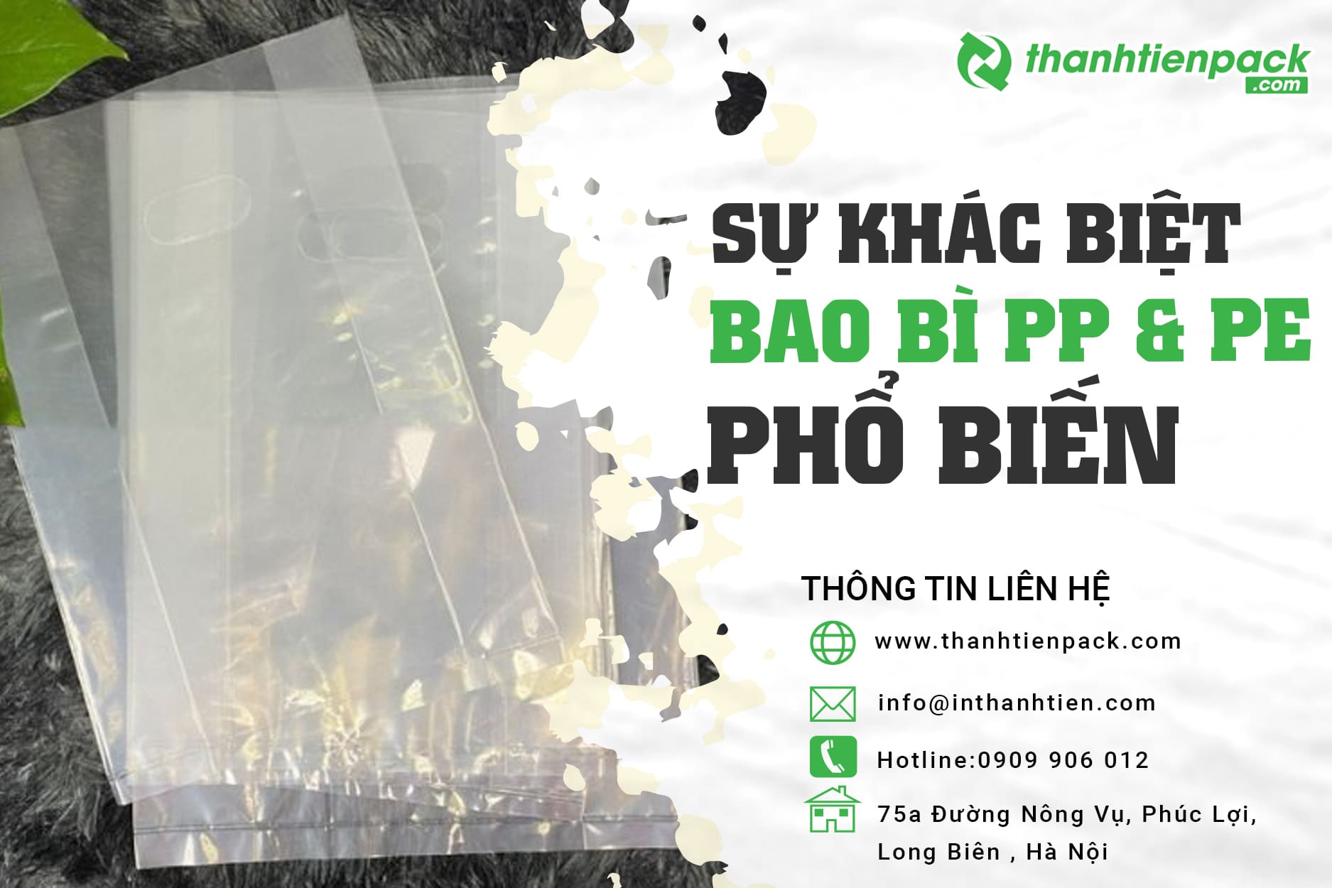 So Sánh Bao Bì PP và PE Khác Nhau Như Thế Nào?