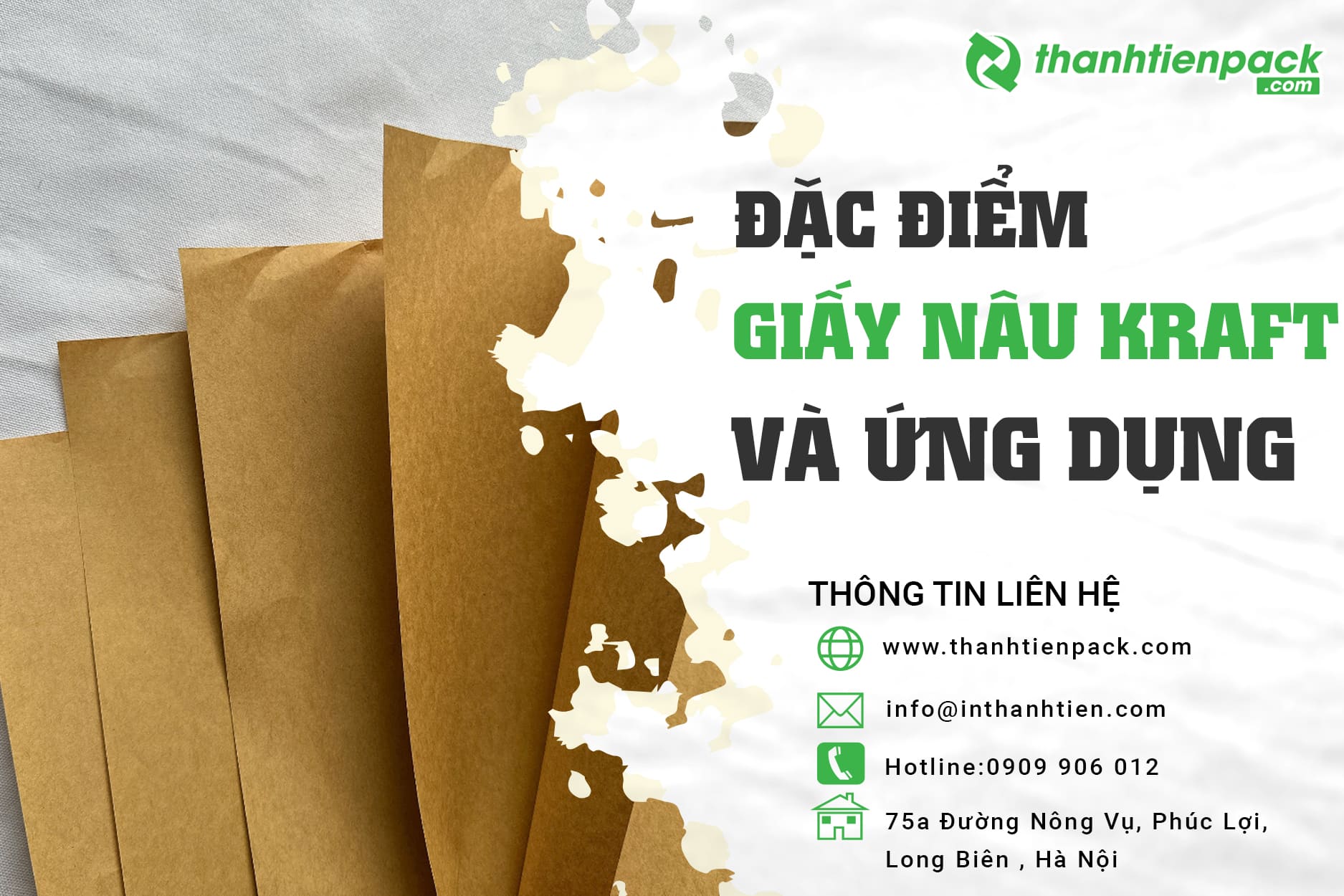 Giấy kraft là gì? Phân loại và ứng dụng của giấy kraft