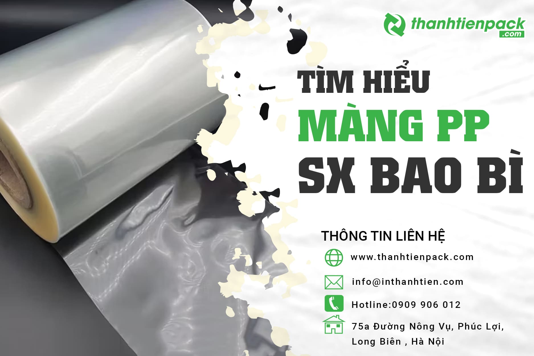 Màng PP là gì? Đặc điểm và ứng dụng thức tế cuộn màng PP