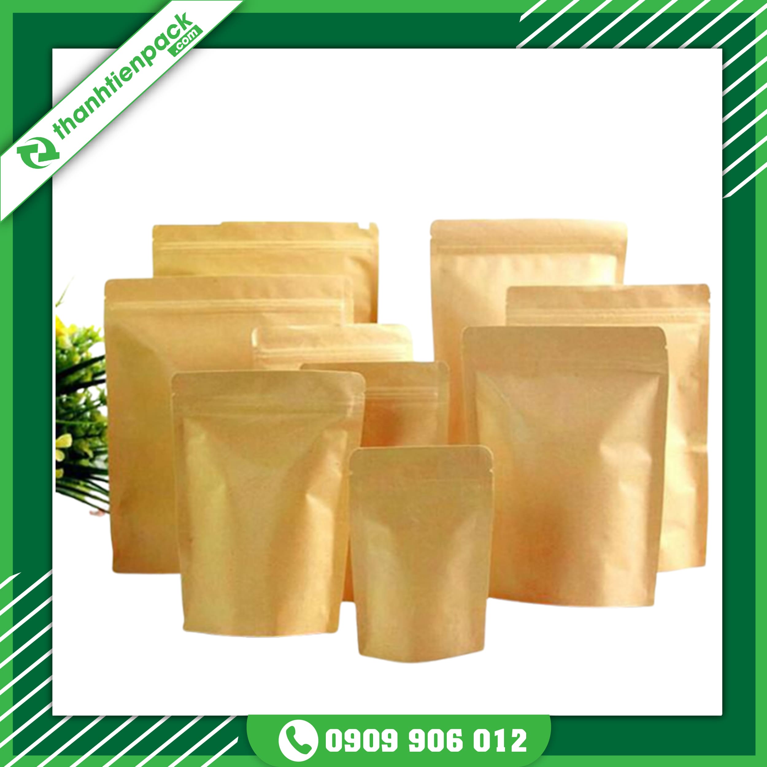 Túi Zipper Giấy Kraft